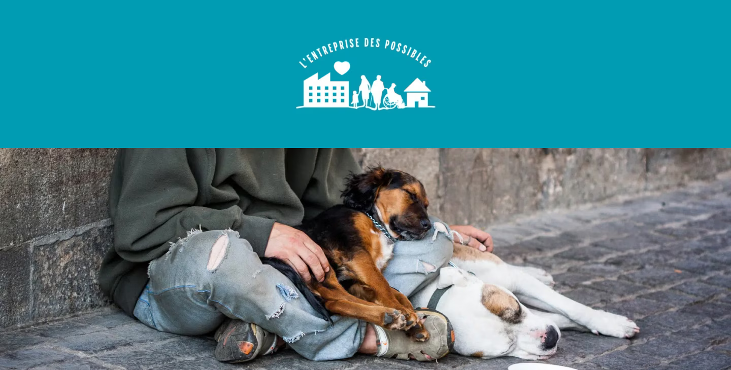 Homme sans-abri assis par terre avec deux chiens endormis contre lui, symbolisant l’aide sociale et l’entreprise des possibles