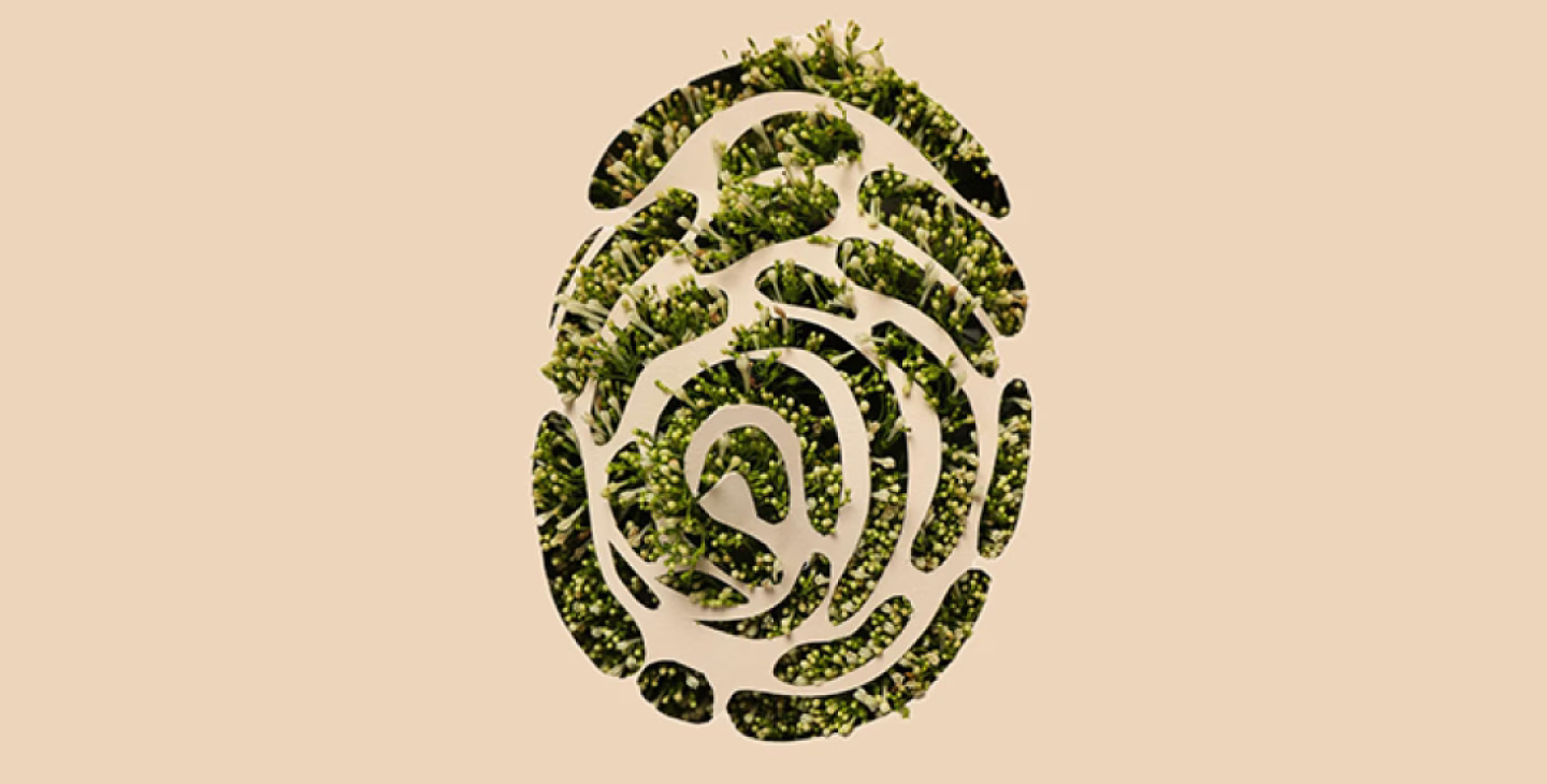 empreinte digitale stylisée remplie de végétation verte symbolisant l’empreinte écologique et la protection de l’environnement