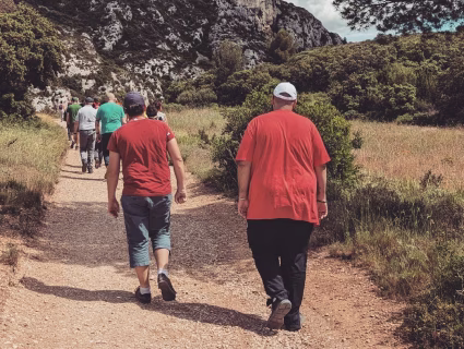Groupe de collaborateurs marchant sur un sentier de randonnée entouré de végétation et de collines